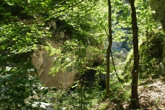 p6291225