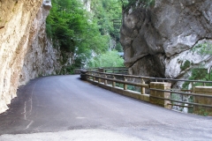 p6291230