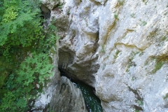 p6291233