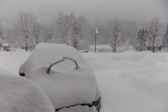 dscn0351